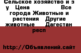 Сельское хозяйство и з/у › Цена ­ 2 500 000 - Все города Животные и растения » Другие животные   . Дагестан респ.